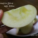 참이슬 농원 이미지