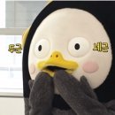 우디스테이 이미지