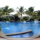 엠지엠(MGM) 이미지