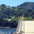 울릉도 알프스 이미지