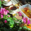 카페 바이올렛 이미지