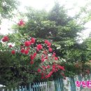 팔용동 원풍벽산C단지 이미지