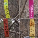 둘레산길-14: 강내면 은적산(206m) 은적산-망덕산-마봉산-아미산 이미지