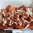 피치버스 - 양구군 펀치볼로 1351 | 피치버스