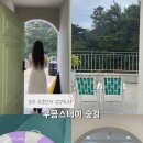 숲결