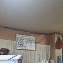 별빛 산골 능이버섯 이미지