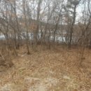 수원-1837 이미지