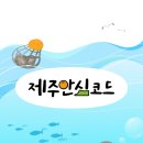 더코드제주