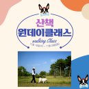 로컬하우스 이미지