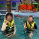 비상태권도입시센터 | 무더위 극복! 비상태권도의 시원한 워터랜드 현장 속으로!