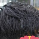 씨앤씨헤어 이미지
