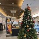 쿠우쿠우화명점 | 부산 화명 내돈내산 스시 무한리필 “쿠우쿠우 화명점” 솔직후기