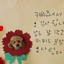 차차네 유치원 이미지