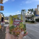 제주 담빈하우스 | 애덩 15주년 사이판여행 Day1 :: 날씨, 리조트, 별빛투어까지 모든것이 갓벽..!