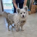 동남카프라자 이미지