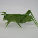 잠자리(Dragonfly)