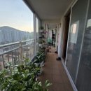 가까운현대약국 이미지