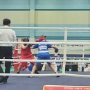 크라운복싱 동탄점 이미지