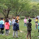 송석초등학교병설유치원 이미지