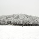 물영아리오름 이미지