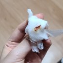 답십리설정형외과의원 이미지