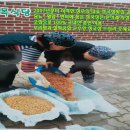향군로 이미지