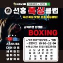 선홍복싱클럽 이미지