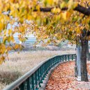 반딧불한우촌 이미지