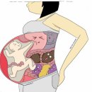 설 초밥 이미지