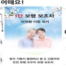 모다들엉여행사 이미지