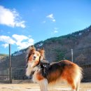 태담이네 하우스 이미지