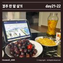동트는 아침 | [경주한달살기] 21-22일차: 직장동료와 수다 떨다가 동트는 거 보는 사람이 있다?