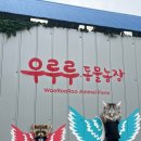 청성애원 | 강원도 평창 가볼만한곳 우루루동물농장 깨끗하고 알찬 동물먹이체험