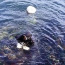 해녀작업장 이미지