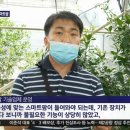 주)엔티팜 이미지