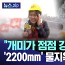 시속200km ,2000mm 지옥. 중국에 상륙한 태풍 개미 입니다. 이미지