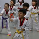 충무태권도장 이미지