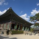 지식의 여정 이미지