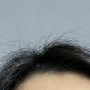 차오름약국 이미지