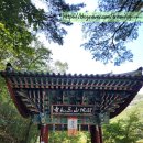 2탄: &lt;삼화사&gt; 후기 (가는 법/ 프로그램 / 시설 / 템플스테이 후기)