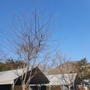 영월화석박물관 | 영월 캠핑장, 자연 속 힐링 공간 다올캠핑장 후기