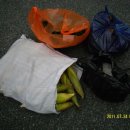 좌천시장 이미지