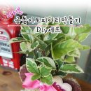 운양초병설유치원 이미지