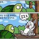 토끼와거북이 이미지