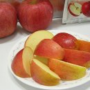 망골농장 이미지