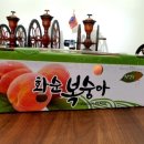 신비 스토어 몰 이미지