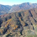 산림임업