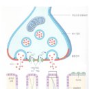 솔재활의학과의원 네이버블로그