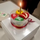 241223-1229 누지의 일상