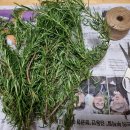 로즈마리 스머지스틱 만들기 이미지